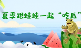 呱呱吃瓜爆料网站在线观看,独家在线观看爆料网站深度解析