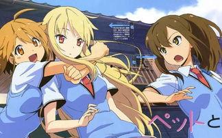 胸大动漫美女,魅力与智慧的完美融合